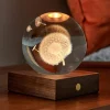 Clearance Gingko Dandelion Crystal Light - 3D Effect