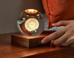 Clearance Gingko Dandelion Crystal Light - 3D Effect