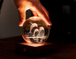 New Gingko Dolphins Crystal Light - 3D Effect