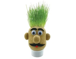New Funtime Gifts Grass Head - Grow Your Own