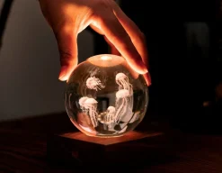 Sale Gingko Jellyfish Crystal Light - 3D Effect