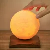 Online Gingko Luna Spin Lamp - Luxury Mood Light