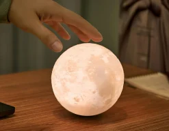 Online Gingko Luna Spin Lamp - Luxury Mood Light