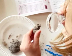Hot Hand 2 Mind Owl Pellet Mystery - Science Lab Kit