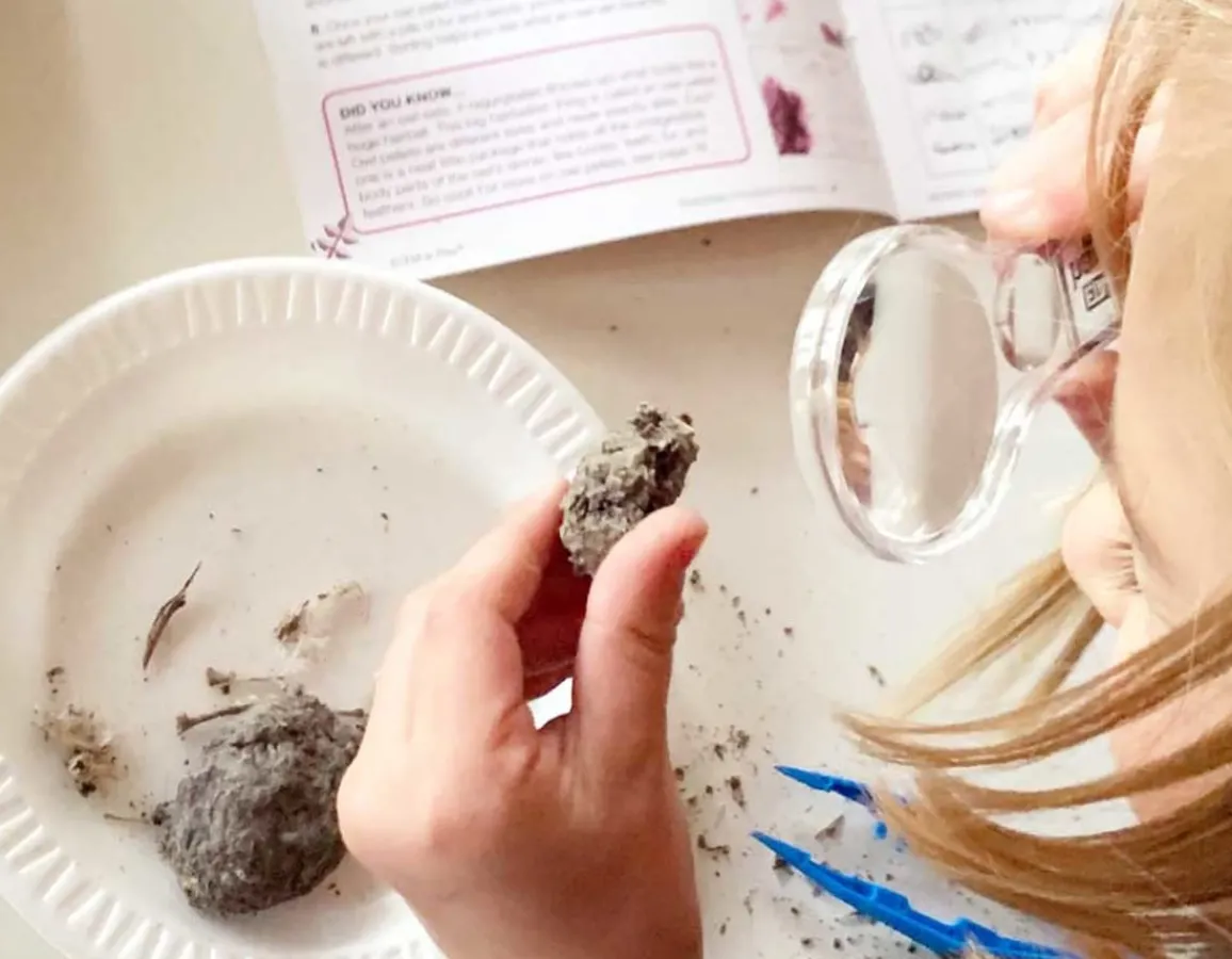 Hot Hand 2 Mind Owl Pellet Mystery - Science Lab Kit