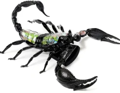 Hot Thames and Kosmos Scorpion Anatomy 3D Model - 29 Pieces